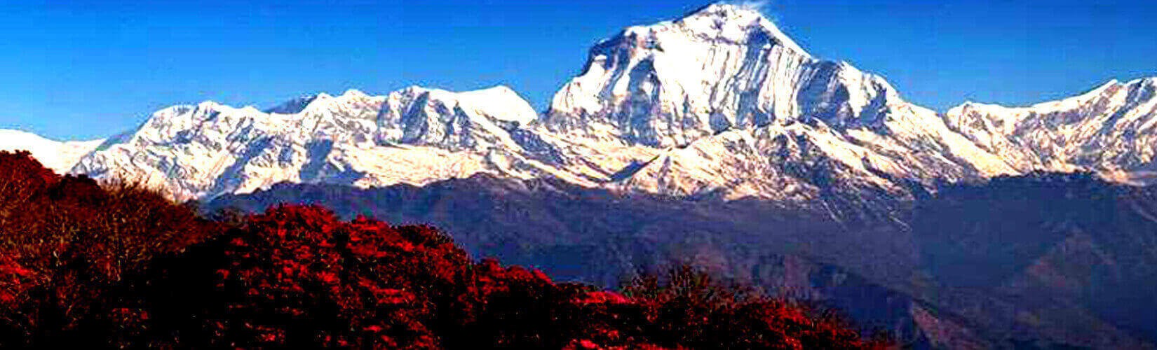 Ghorepani Poon Hill Trek | Trekking in Nepal | Nepal Trekking Package| Reasonable Treks