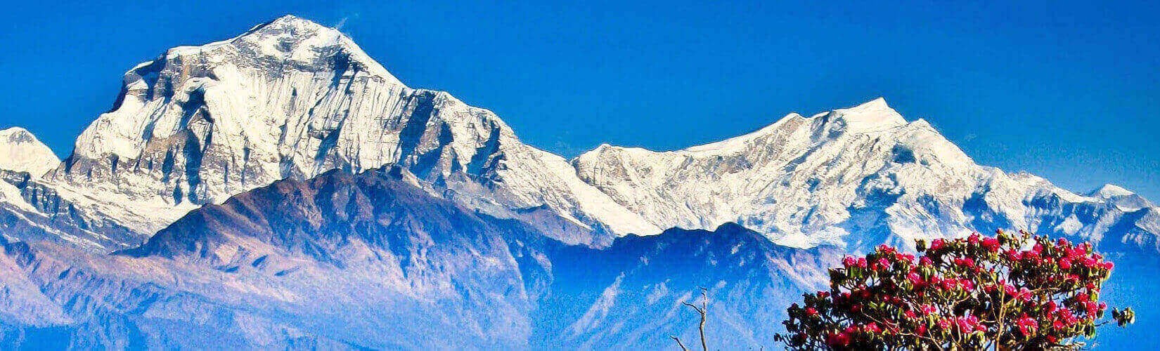 Poon Hill Panorama Trek | Trekking in Nepal | Nepal Trekking Package| Ghorepani Poon Hill Trek