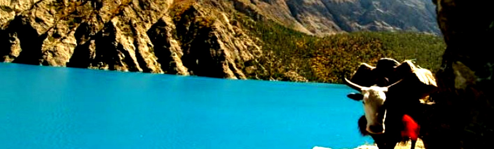 Lower Dolpo Trek | Reasonable Treks And Tour 