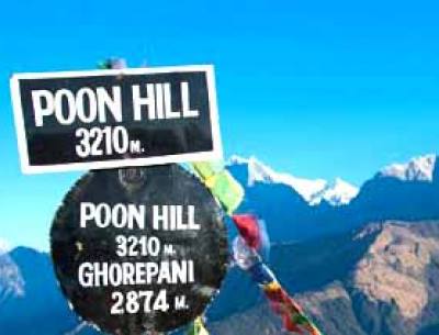 Poon hill Panorama Trekking | Reasonable Treks