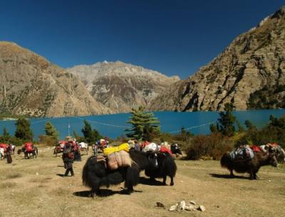 Upper Dolpa Trek