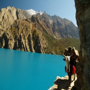 Lower Dolpo Trek,